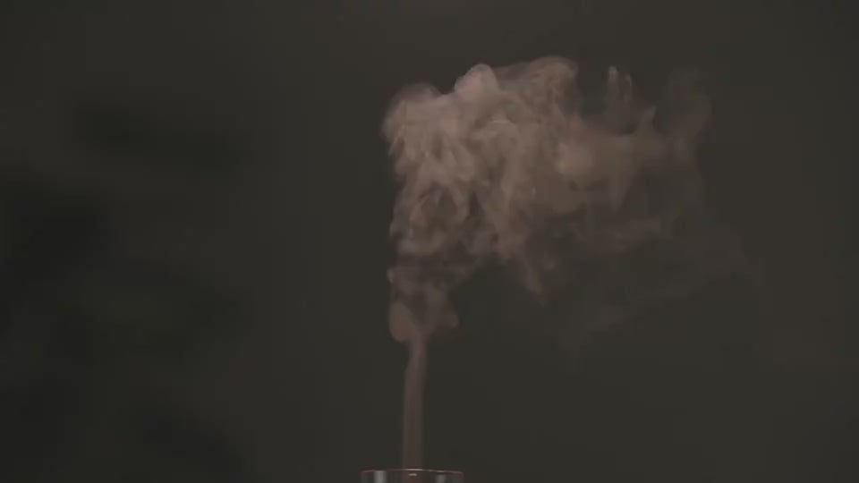Load video: 1